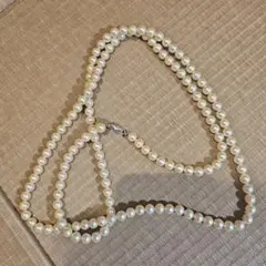 Item thumbnail for item e906cf20-bda0-4cbf-a963-c1a8547fb1c3