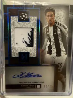 Item thumbnail for item ef09990a-eabd-4e54-8d68-0f7993cc398f