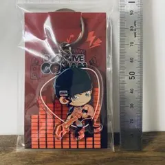 名探偵コナン　赤井秀一　アクリルキーホルダー　大阪城限定発売