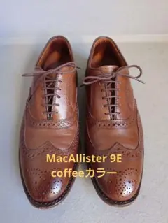 レアカラー Allen Edmonds アレンエドモンズ MacAllister