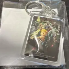 ゼルダ無双封印戦記　購入特典アクリルキーホルダー