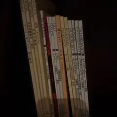 Item thumbnail for item 18e05e3b-5bea-48d9-9e7f-2467bf03592d