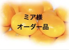 ミア様オーダー品4