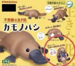 Item thumbnail for item 29401817-d3ba-4d19-81de-eb1fe61cf16d