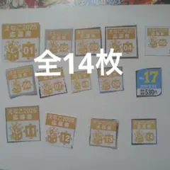 えなこ表紙ジャックキャンペーン2025 小冊子応募者全員プレゼント応募券全14枚