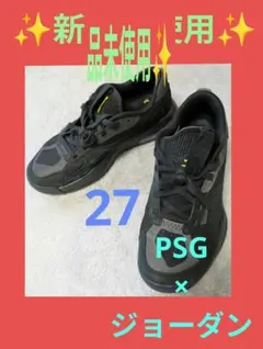 ✨新品未使用✨NIKE AIR JORDAN PSG 27cm 200E