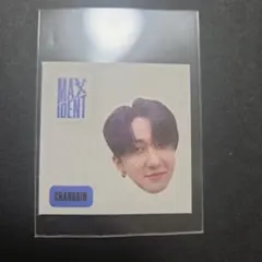 Stray Kids チャンビン MAXIDENT ステッカー