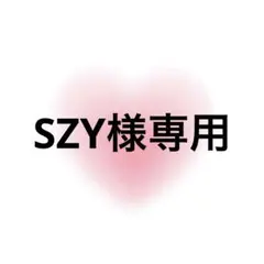 SZY様専用