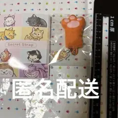 ディズニーストア　猫の日　猫の手オリバーストラップ