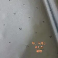 裏地 柄物 １．５M以上