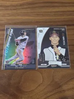 Item thumbnail for item 60665498-ae08-4955-ab67-297c5e08ccf1