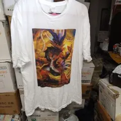 ポケモン　コライドン　Tシャツ