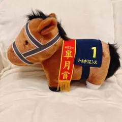 サラブレッドコレクション ふわふわBIG ソールオリエンス