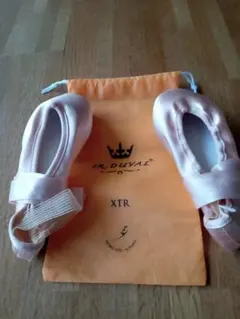 Item thumbnail for item 90d8fd40-27a0-4c6e-bf59-2c17df63b492