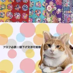 プロフ必読☆値下げ交渉可能様 リクエスト 2点 まとめ商品
