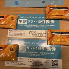 2026年最新】グランデコリフト券の人気アイテム - メルカリ