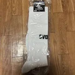 Item thumbnail for item 28f0d2d1-bc7e-4868-b2f6-1fb30de4e9aa