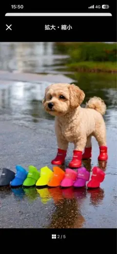 Item thumbnail for item 576c8b26-91d2-4e6b-bf2d-8113582b68d4