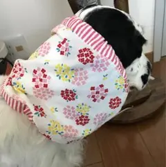 Item thumbnail for item 9a4d6bc6-5a9b-4e34-8e2b-5f5261a39b8d