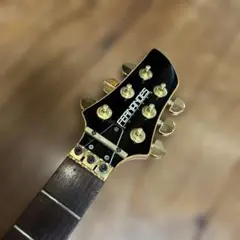 2026年最新】fernandes apg-85sの人気アイテム - メルカリ
