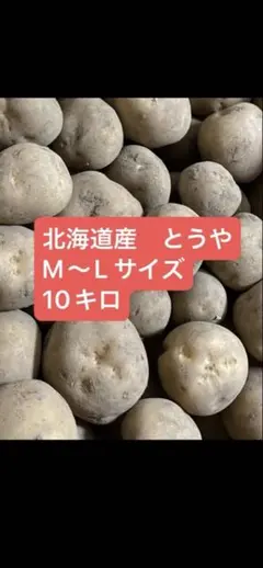 ゆう様専用】北海道産じゃがいも（とうや）3L 20kg - メルカリ