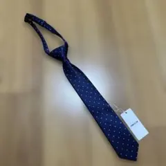 Item thumbnail for item 4c92d888-3534-49d2-b109-2174fa7bc745