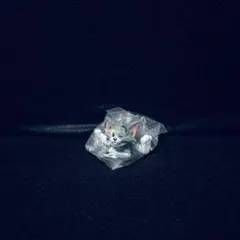 トムとジェリー チルタイムFig.トム