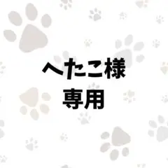 へたこ様専用【チワワ】デザイン