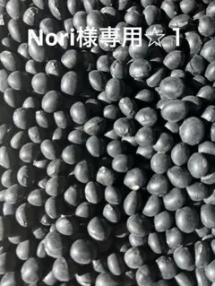 Nori様専用☆１