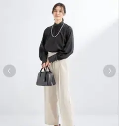 green label relaxing シアー ハイネック ブラウス 黒