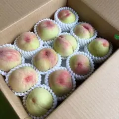 uu32 山梨県産　ガリガリ　硬め　桃　ピーチ　3キロ箱　8〜15玉入り　色薄のサムネイル