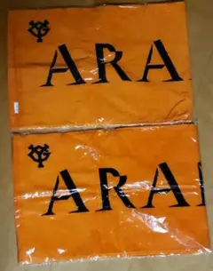 GIANTS PRIDE 2018　タオル２枚セット