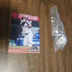 プロ野球チップス 西武ライオンズ2枚セット＋めじるしアクセサリー
