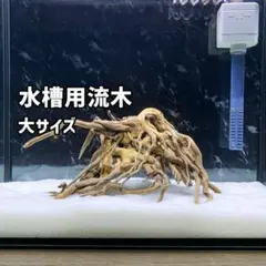 2026年最新】種類：一点物 水槽用流木の人気アイテム - メルカリ
