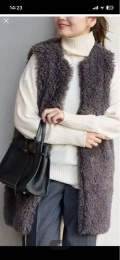 ジャーナルスタンダード　エコファーベスト