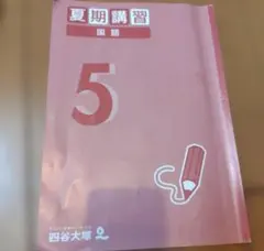 四谷大塚 夏期講習 国語 小5