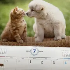 Item thumbnail for item bb8b2aaa-0910-4b72-aa5d-300f71d3beab