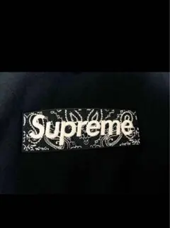 Item thumbnail for item 008642e5-7e9c-468b-9a6a-38afb88c4c4b