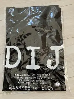 デッドストック】激レア！ブランキージェットシティ Tシャツ - メルカリ
