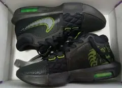 NIKE LEBRON WITNESS VIII 25.5cm