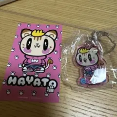 小森隼　ジェ猫