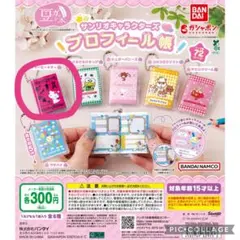 サンリオキャラクターズ プロフィール帳 チャーミーキティ