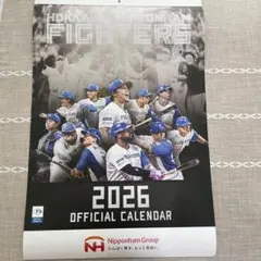 日ハム 記念グッズ