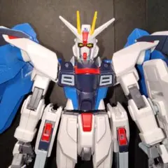 【 素組み済 】バンダイ　１/１００　ＺＧＭＦ－Ｘ１０Ａ　フリーダムガンダム