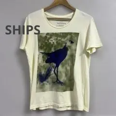 Item thumbnail for item 7e7ec3b5-4081-4b82-bc9e-d0a5235aed33