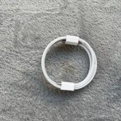 AirPods Pro ホワイト 充電ケーブル付き