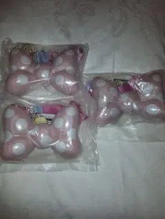 スーベニアスナックケース　ミニーファンダーランド　ディズニーパルパルーザ　３個