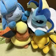 色違い ツタージャ ポカブ ミジュマル ぬいぐるみ 非売品 ポケモン