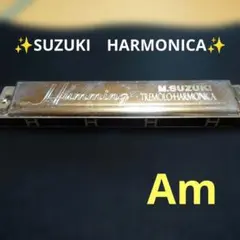 Q*C様 【レア】ハーモニカ 鈴木楽器製作所 HAMMOND 木根尚登モデル 
