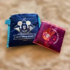 東京ディズニーリゾート エコバッグセット
